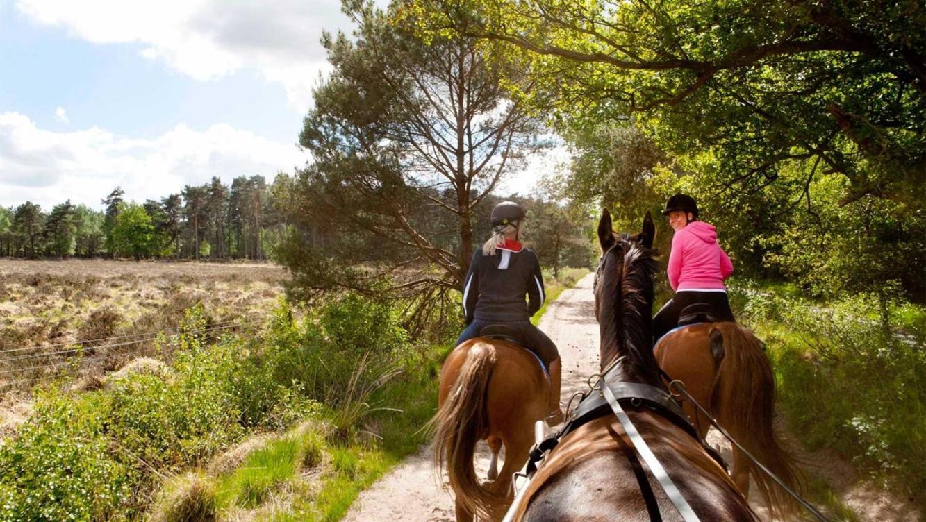 Comfortabel Chalet In Nationaal Park Wateren エクステリア 写真