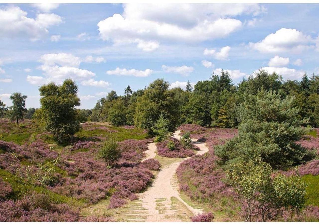 Comfortabel Chalet In Nationaal Park Wateren エクステリア 写真